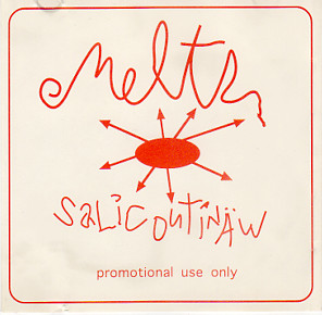 Salicoutinäw