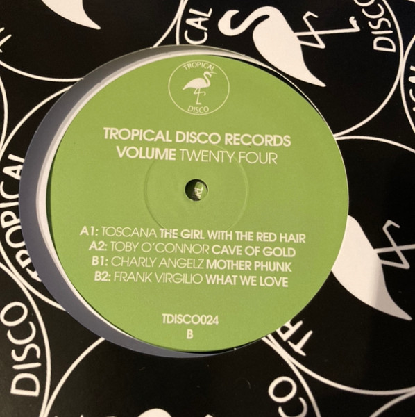 Tropical Disco Records Volume Twenty Four