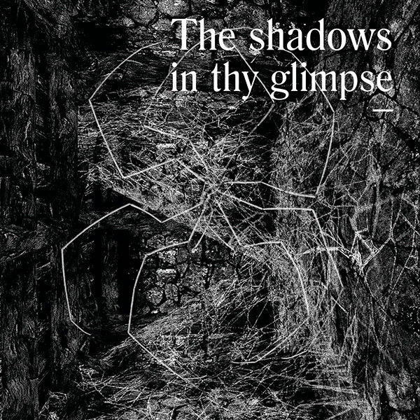 The Shadows In Thy Glimpse: Bedouin Records Selected Discography 2016-2018