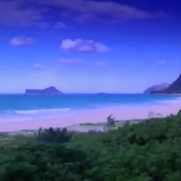 Ocean Dreams