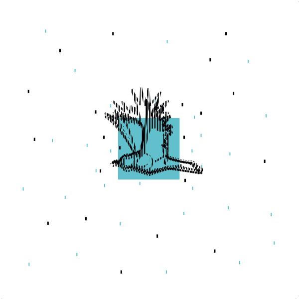 Birds And Rain