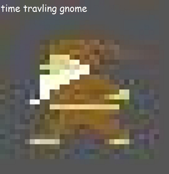 Time Travling Gnome