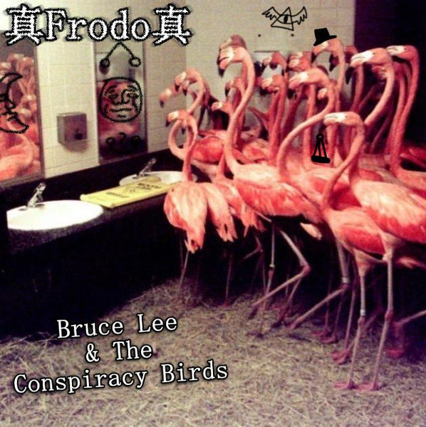 Bruce Lee & The Conspiracy Birds
