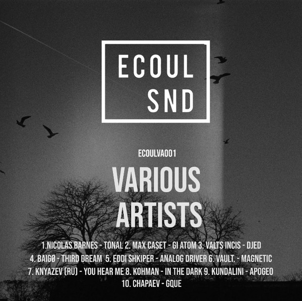 Ecoul Snd Various Artists