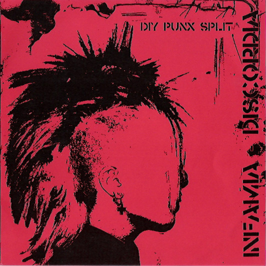 Diy Punx Split
