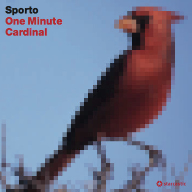 One Minute Cardinal