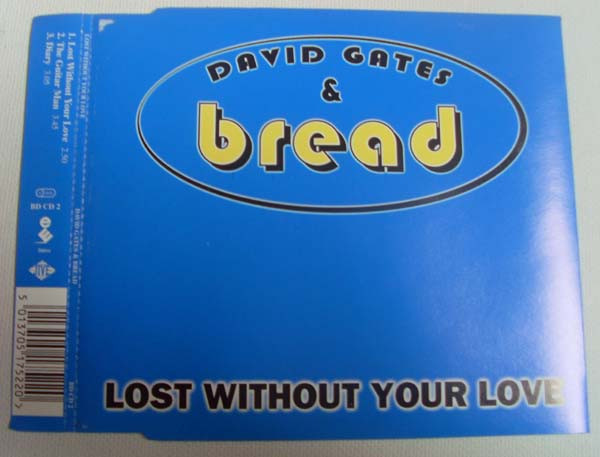 Lost Without Your Love
