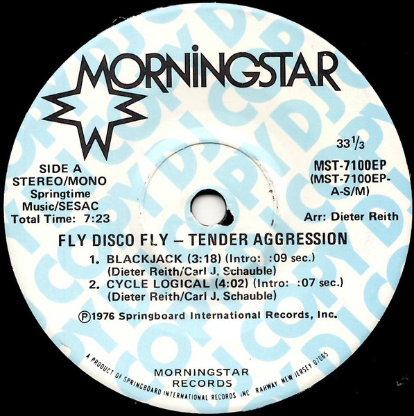 Fly Disco Fly