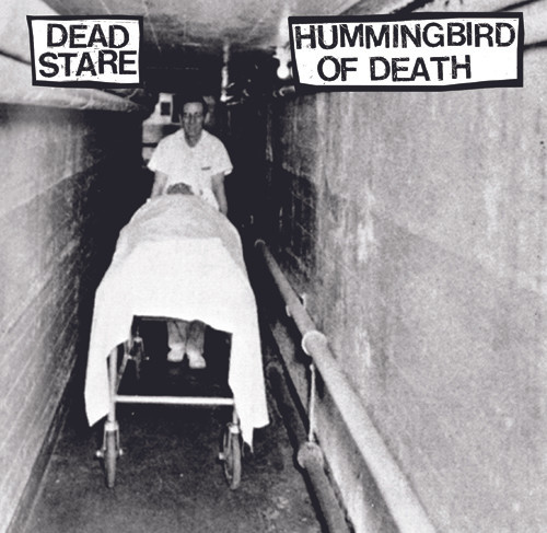 Dead Stare / Hummingbird Of Death