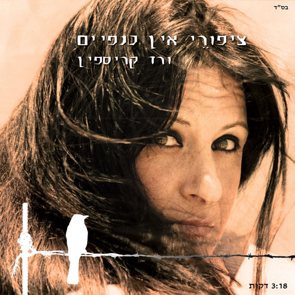 ציפורי אין כנפיים