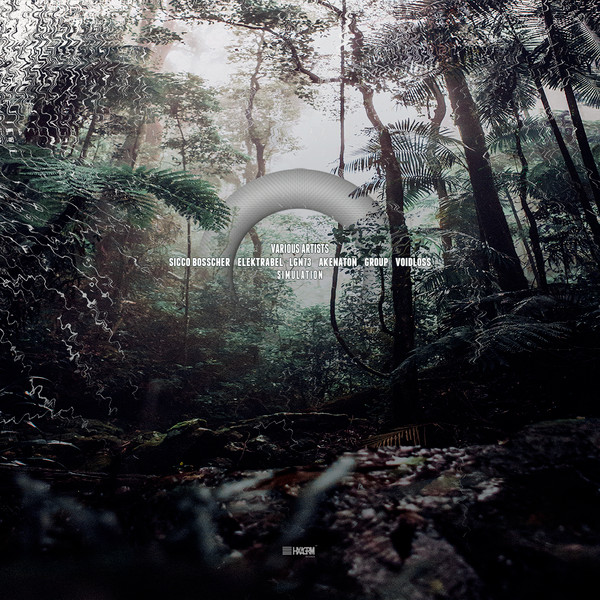 Simulation