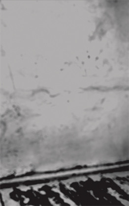 Where Angels Fear To Tread