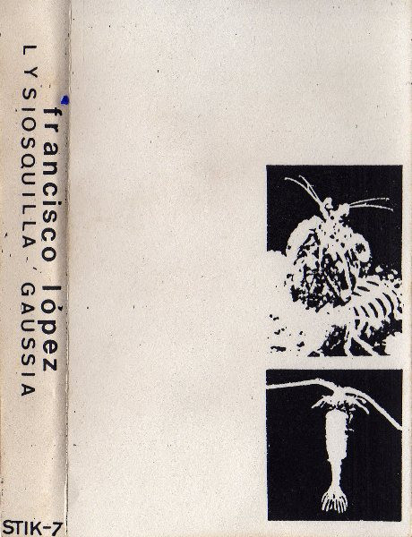 Lysiosquilla Gaussia