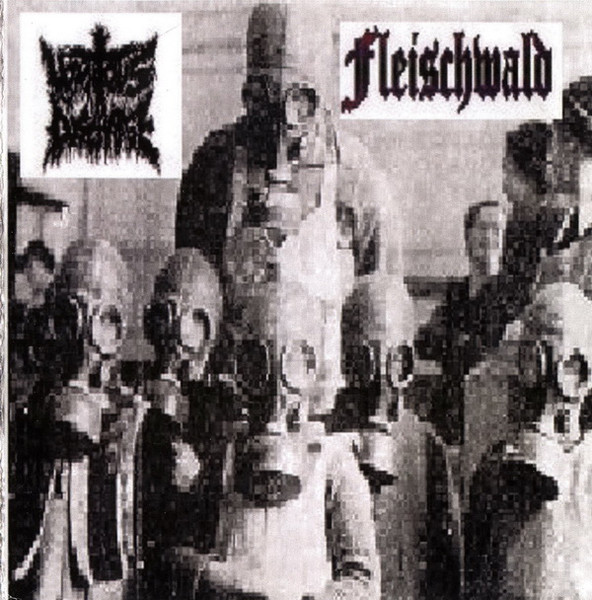 Vomitous Discharge / Fleischwald