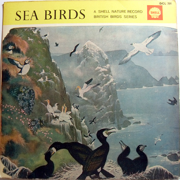 Sea Birds