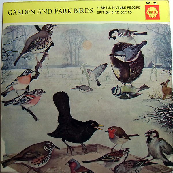 Garden And Park Birds