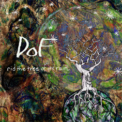 Rid The Tree Of Its Rain
