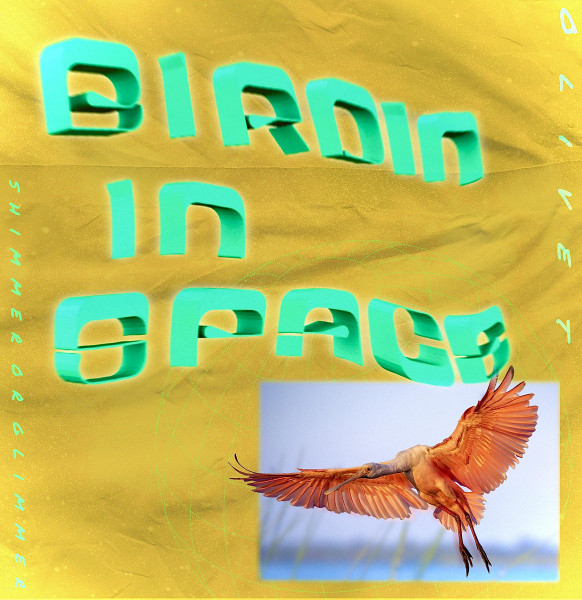 Birdin In Space 