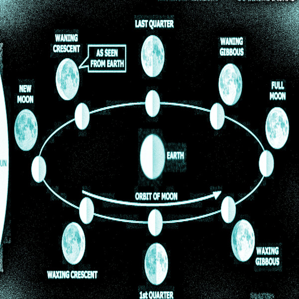 Lunar Liaison