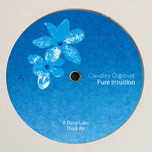 Pure Intuition