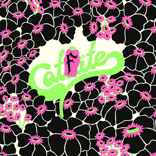 Catfite: A HXC Version Of Catbite S/T