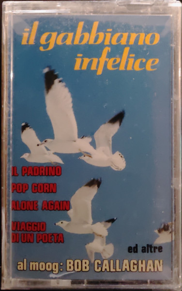 Il Gabbiano Infelice 