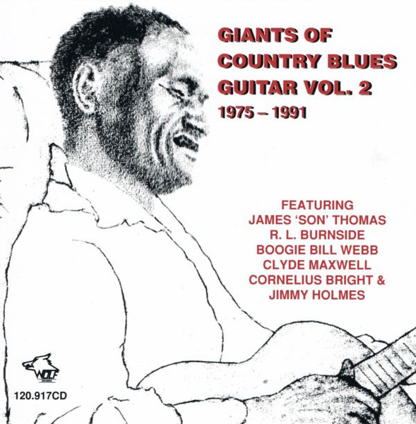 Giants Of Country Blues Guitar Vol. 2: 1975 - 1991