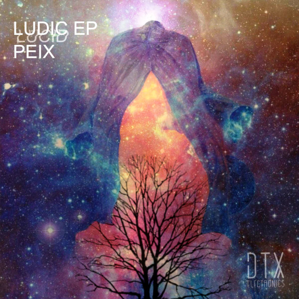 Ludic