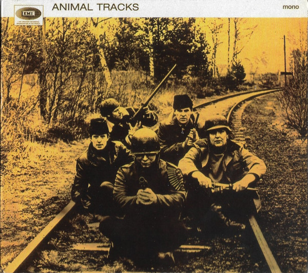 Animal Tracks