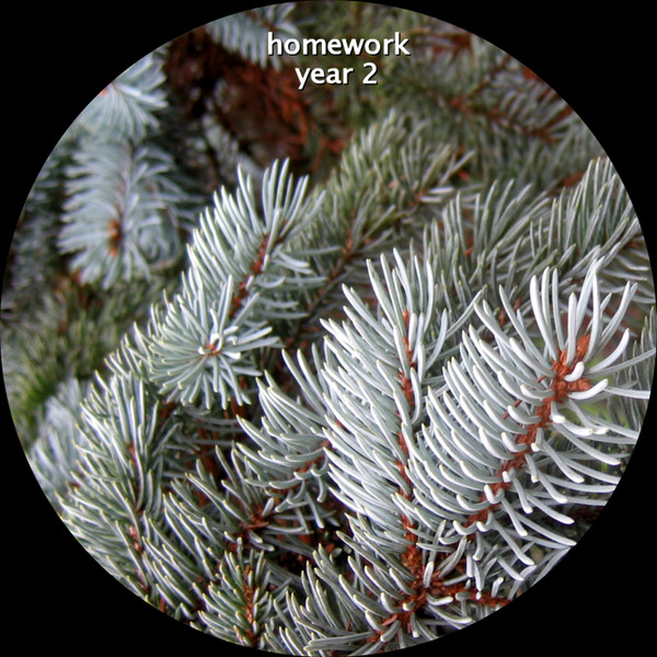 Homework - Year 2