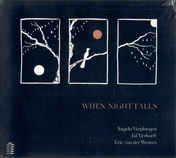 When Night Falls