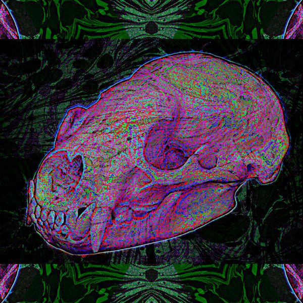 DJ Set Skull Fest Supporting Comfort Cure & Spike Hellis Detroit 11192022