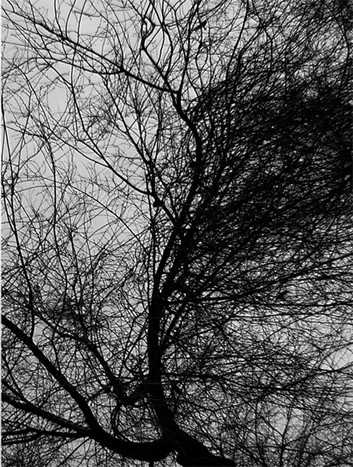 Emanations
