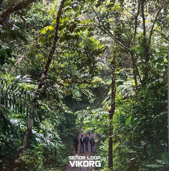 Vikorg