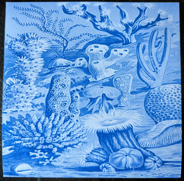 Ancient Coral