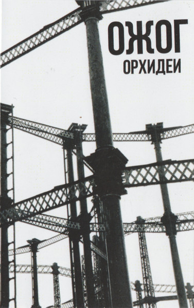 Орхидеи