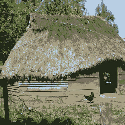 Lobos De Villa En Yapeyu