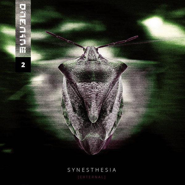 Synesthesia [External]