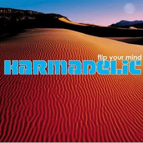 Flip Your Mind