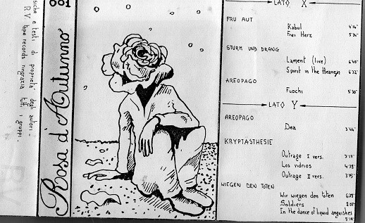 Rosa D'Autunno