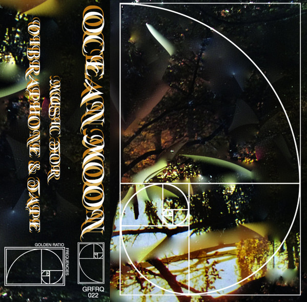 Music For Vibraphone & Tape
