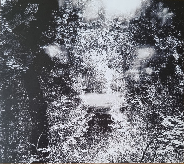 ...In The Absence Of Light
