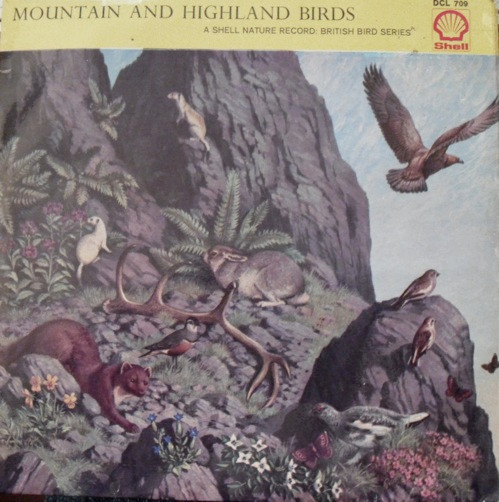 Mountain And Highland Birds