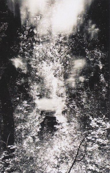 ...In The Absence Of Light