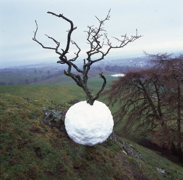 б​а​г​р​о​в​ы​й о​с​т​р​о​в