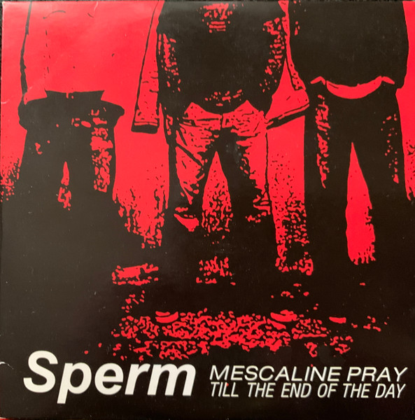 Mescaline Pray - Till The End Of The Day
