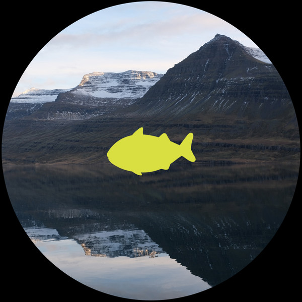 Thanks For All The Fish