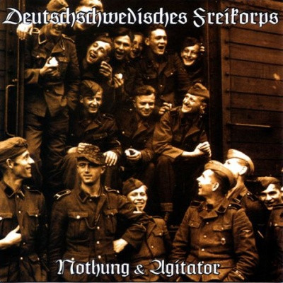 Deutschschwedisches Freikorps