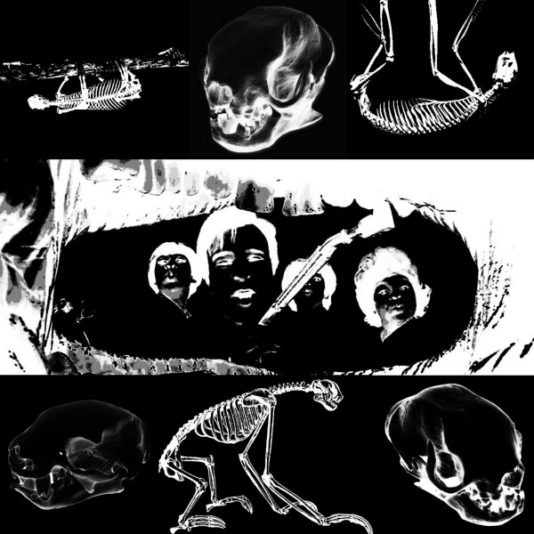 Sado Rituals / Sloth
