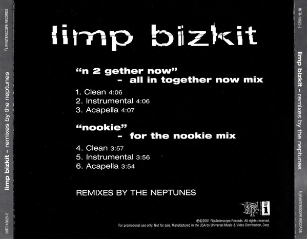 N 2 Gether Now / Nookie (The Neptunes Remixes)